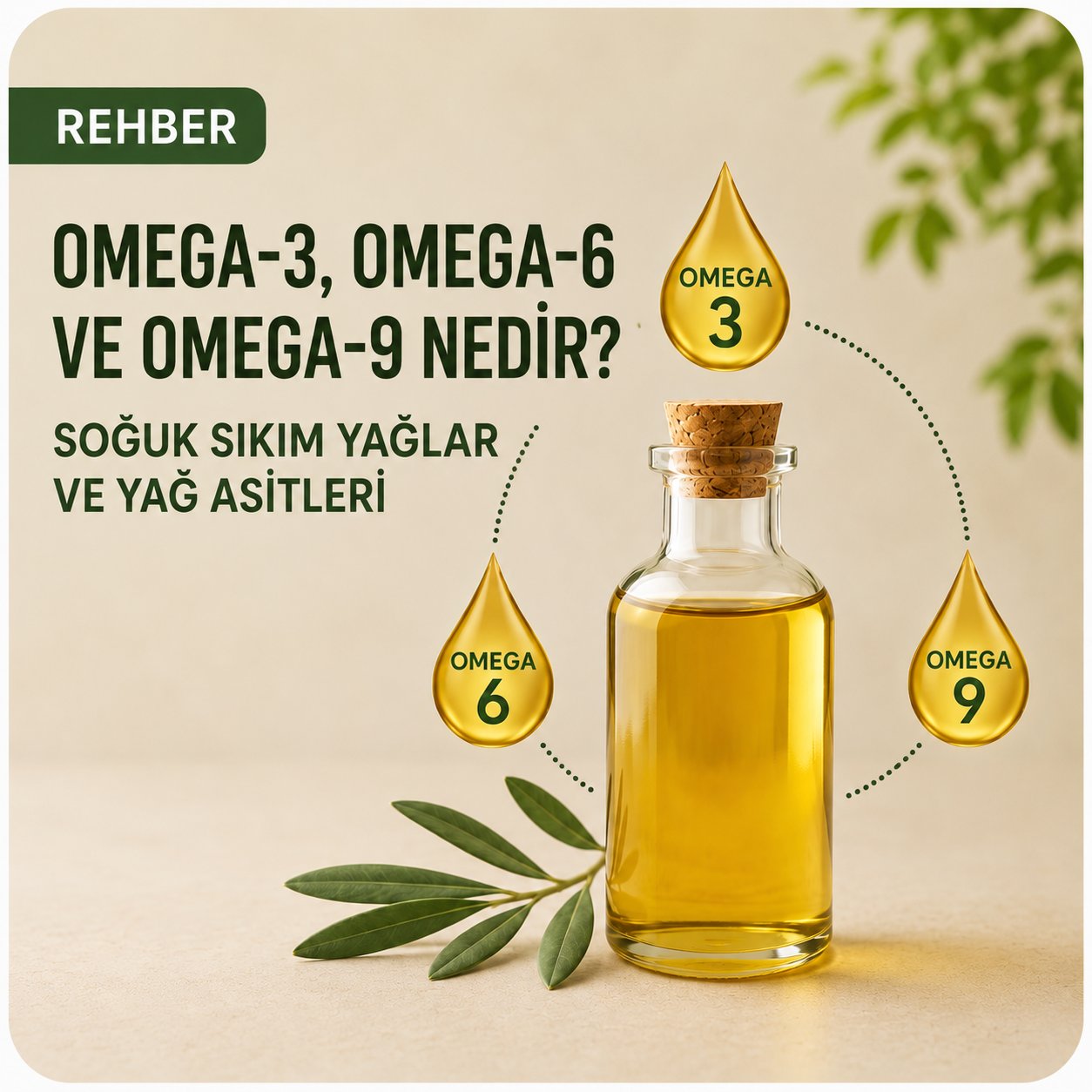 Omega 3,omega 6,omega 9,soğuk sıkım,bitkisel yağlar