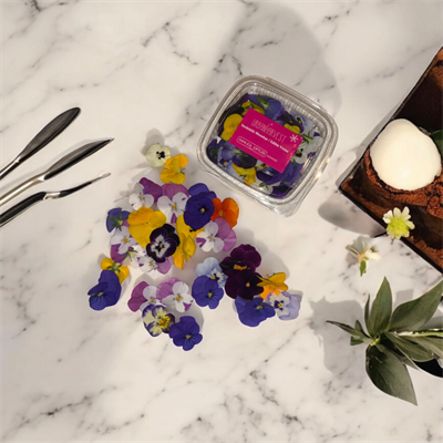 edible-violas-b-cd43.jpg
