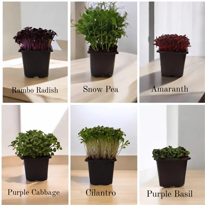 mini-tanisma-paketi--44a7-.jpg