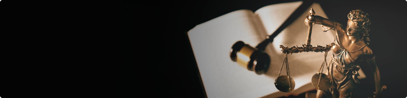 Yeni kitaplarımızın yayınlanmasına