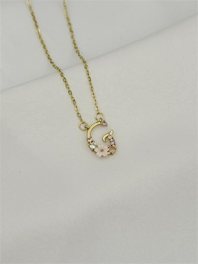 Çelik Prenses Harf Kolye // KOLYE-5741