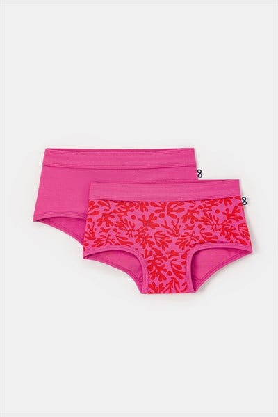 2-8 Yaş 2’li Kız Çocuk Külot