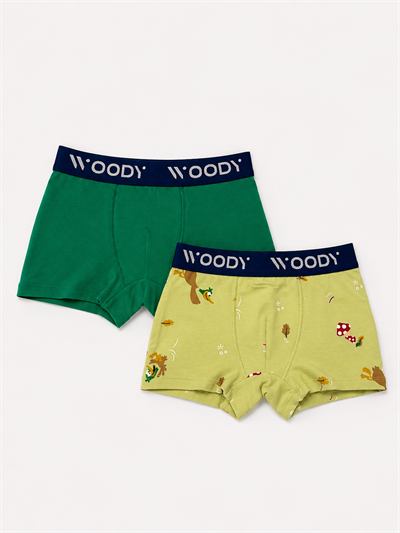 2-8 Yaş 2li Erkek Çocuk Boxer