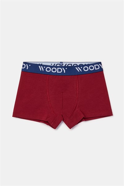 2-8 Yaş 2li Erkek Çocuk Boxer