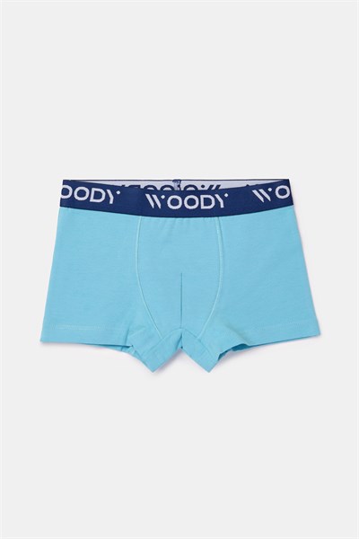 2-8 Yaş 2li Erkek Çocuk Boxer