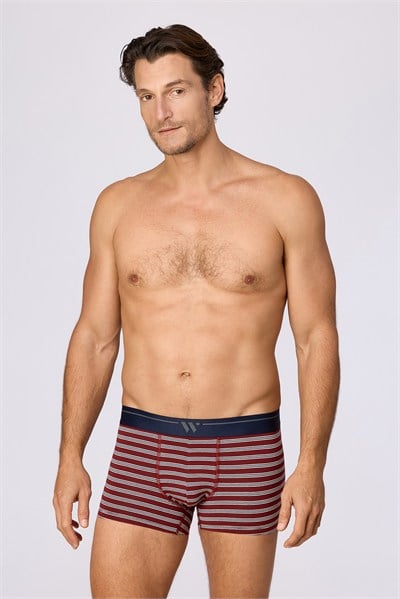 2li Erkek Boxer