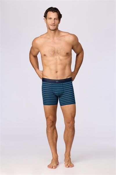 2li Erkek Boxer