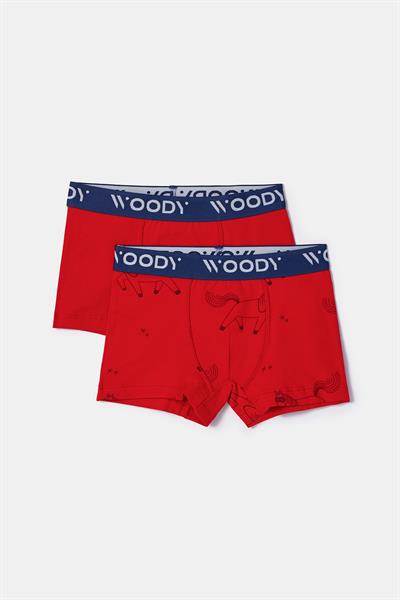 2-8 Yaş 2’li Erkek Çocuk Boxer