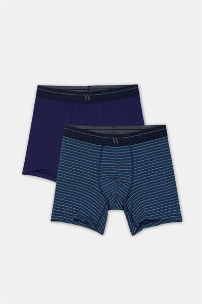 2li Erkek Boxer