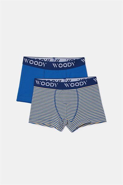 2-8 Yaş 2’li Erkek Çocuk Boxer