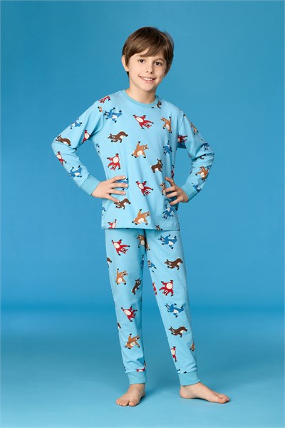 Hayvan Baskılı Mavi Erkek Çocuk Pijama