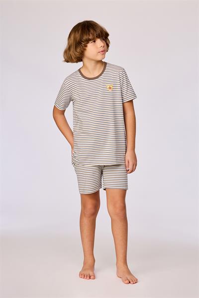 2-8 Yaş Erkek Çocuk Pijama