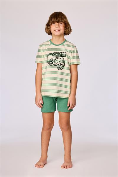 10-16 Yaş Erkek Çocuk Pijama