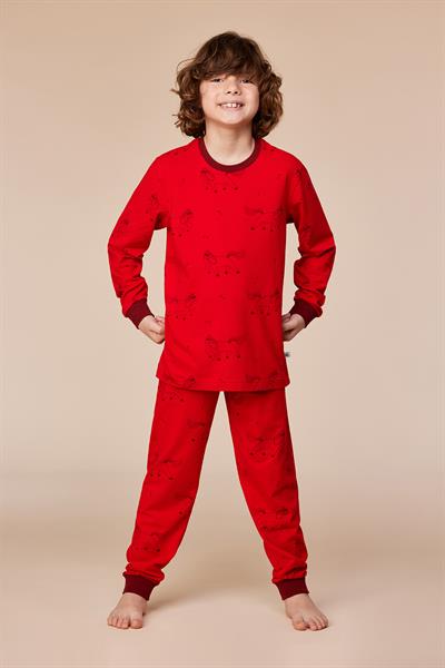 2-8 Yaş Erkek Çocuk Pijama