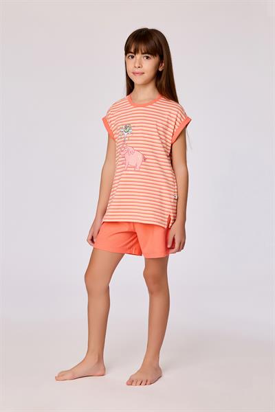 2-8 Yaş Kız Çocuk Pijama