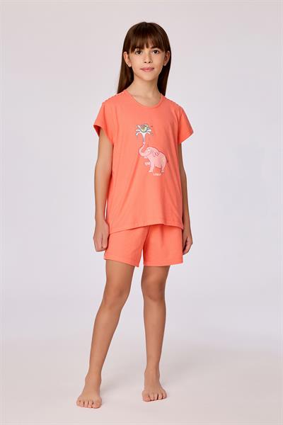2-8 Yaş Kız Çocuk Pijama