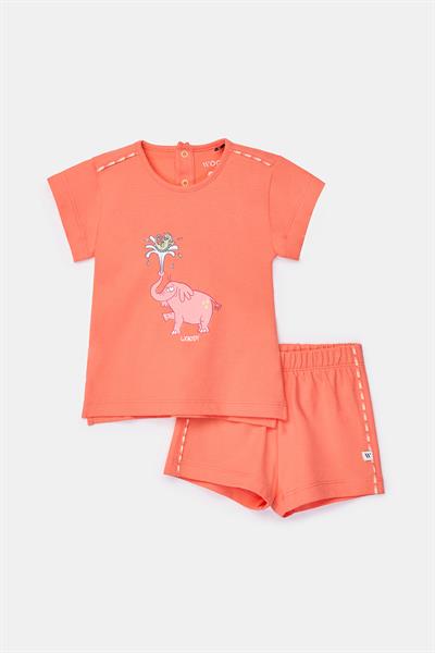 Pamuklu Kız Bebek Pijama