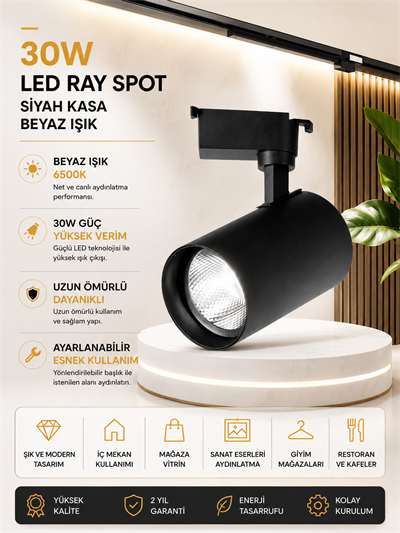 NOAS 30W SİYAH KASA BEYAZ IŞIK RAY SPOT