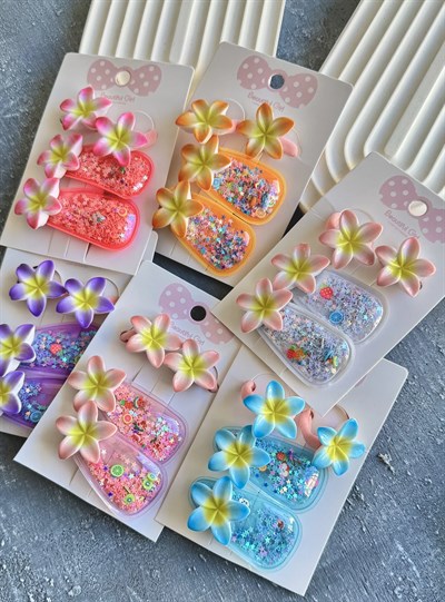 Manolya Şeffaf Çıtçıt & Lastik Set