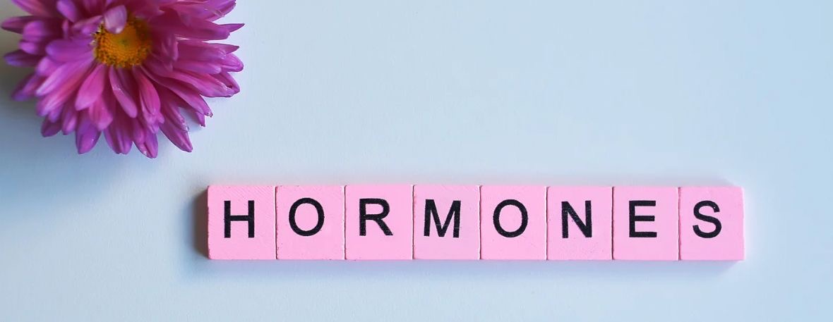 Hormo-Fit (Hormonal Denge Programı)