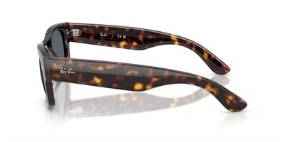 RAY-BAN 0832S 902/R5