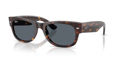RAY-BAN 0832S 902/R5