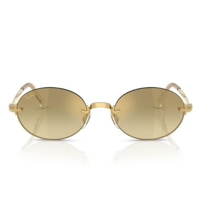 RAY-BAN 3929 001/7I 54