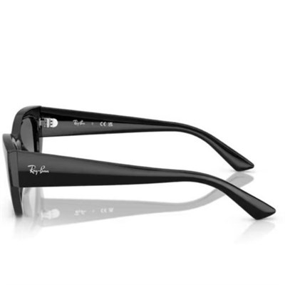 RAY-BAN 4430 6677/11 49