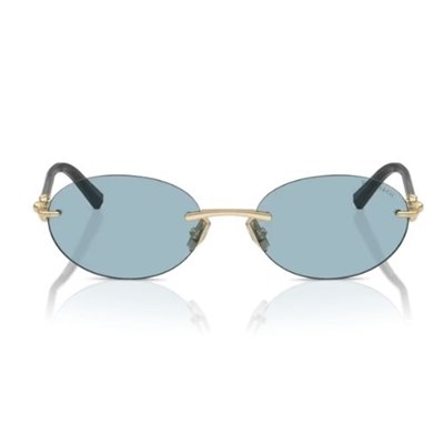Tiffany&Co  3104D 6021/80 56
