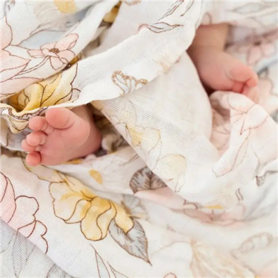 Aden & Anais - Earthly 4lü Organik Pamuklu Müslin Set