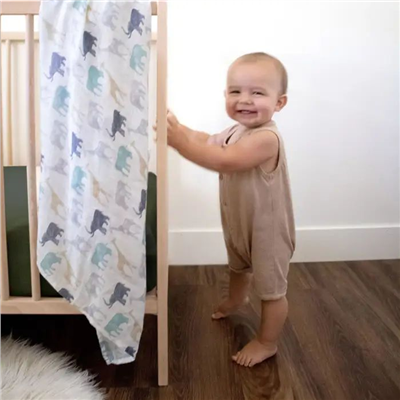 Aden & Anais - Expedition 3lü İpek Yumuşak Kundak Set