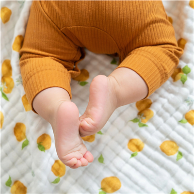 Aden & Anais - Fresh Fruit Organik Dream Battaniye