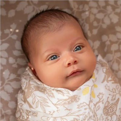 Aden & Anais - Natural Woodland 3lü İpek Yumuşak Kundak Set