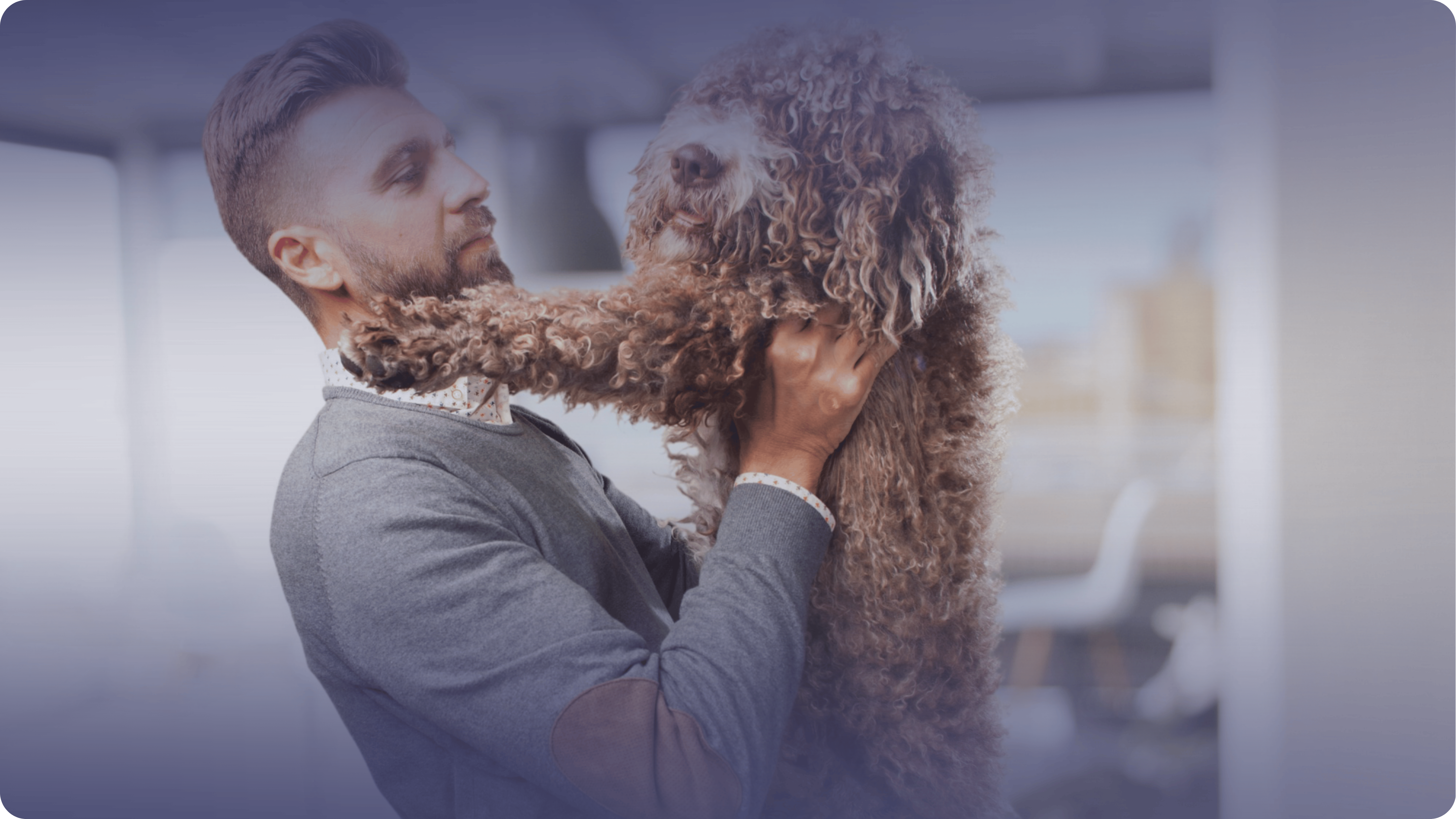 Parlak tüylere sahip sağlıklı kedi ve köpek görselleri ile tüy bakım fırçası kullanımı.