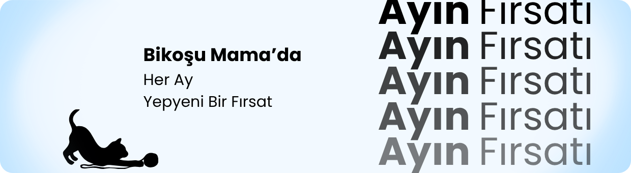 ayın fırsatları