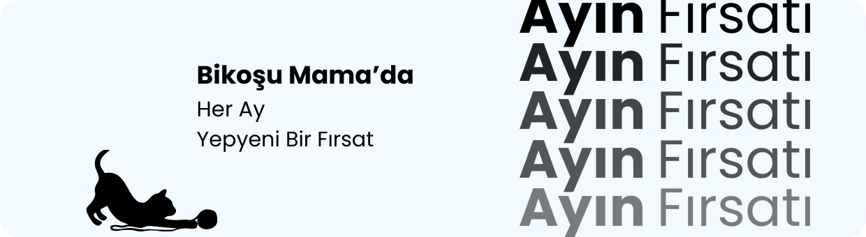 ayın fırsatları