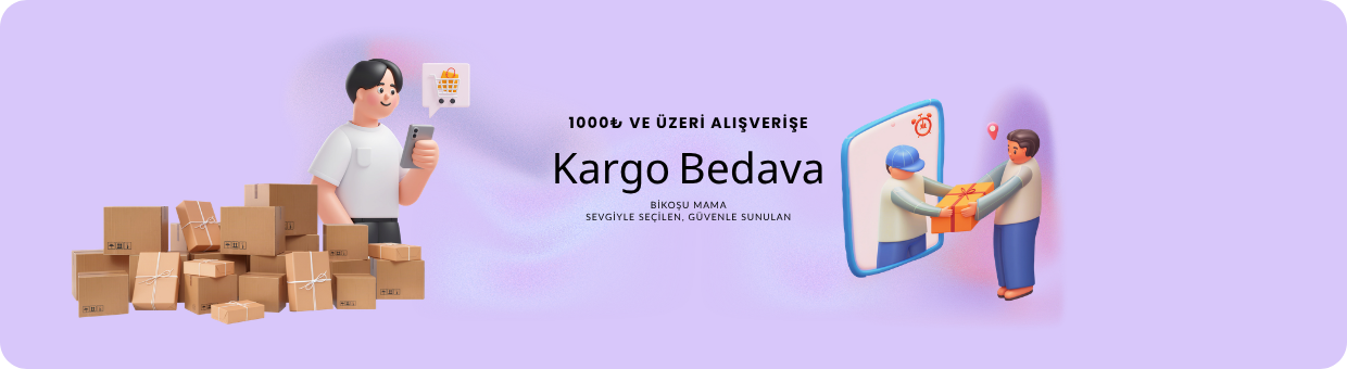 kargo bedava