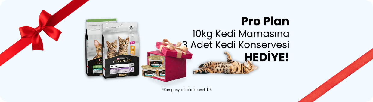 pro plan kampanyası