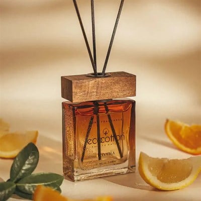 Feronia Oda Kokusu 100 Ml Odunsu Aromalı