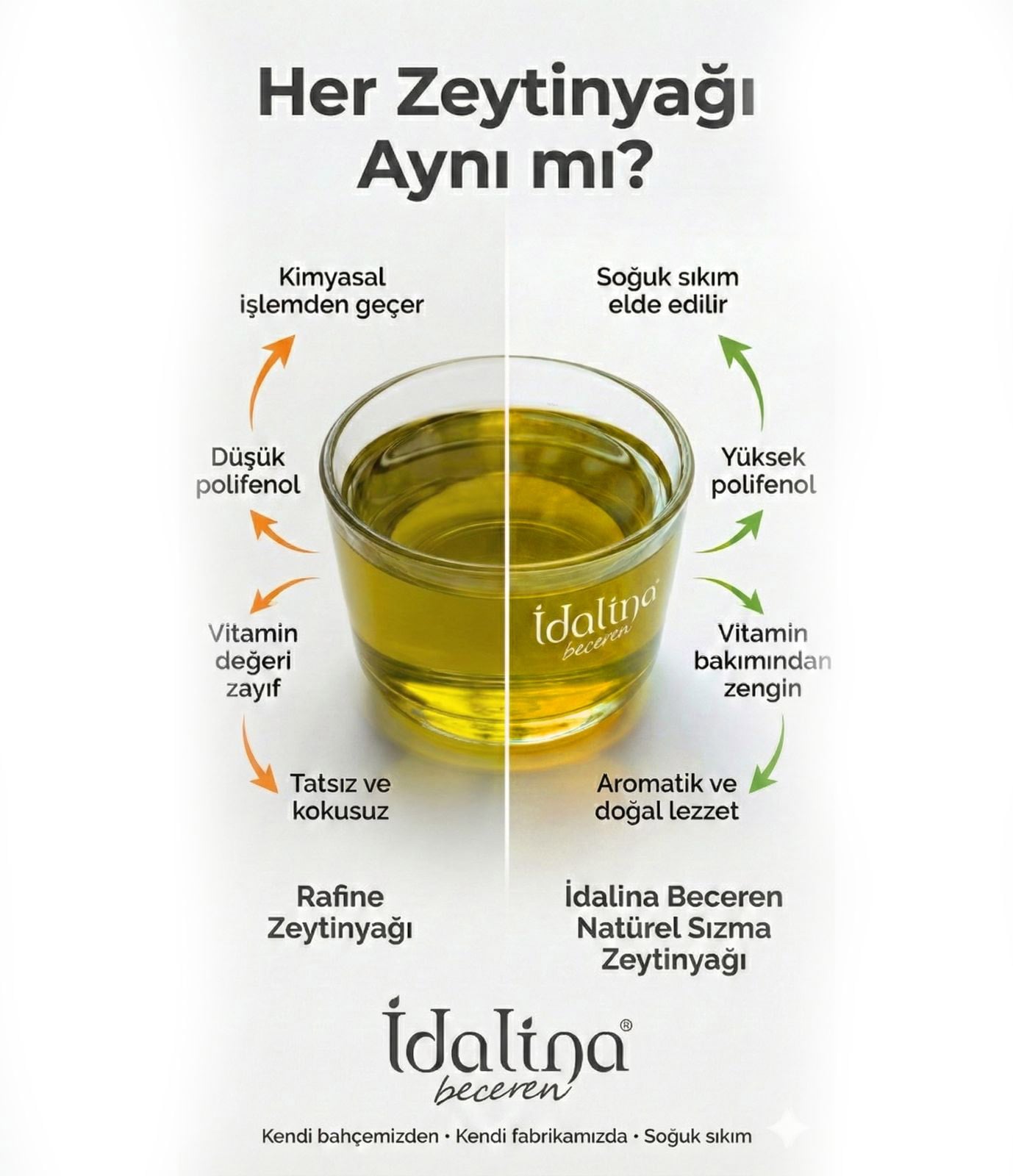 Her Zeytinyağı Aynı mı? Rafine ve Natürel Sızma Karşılaştırması
