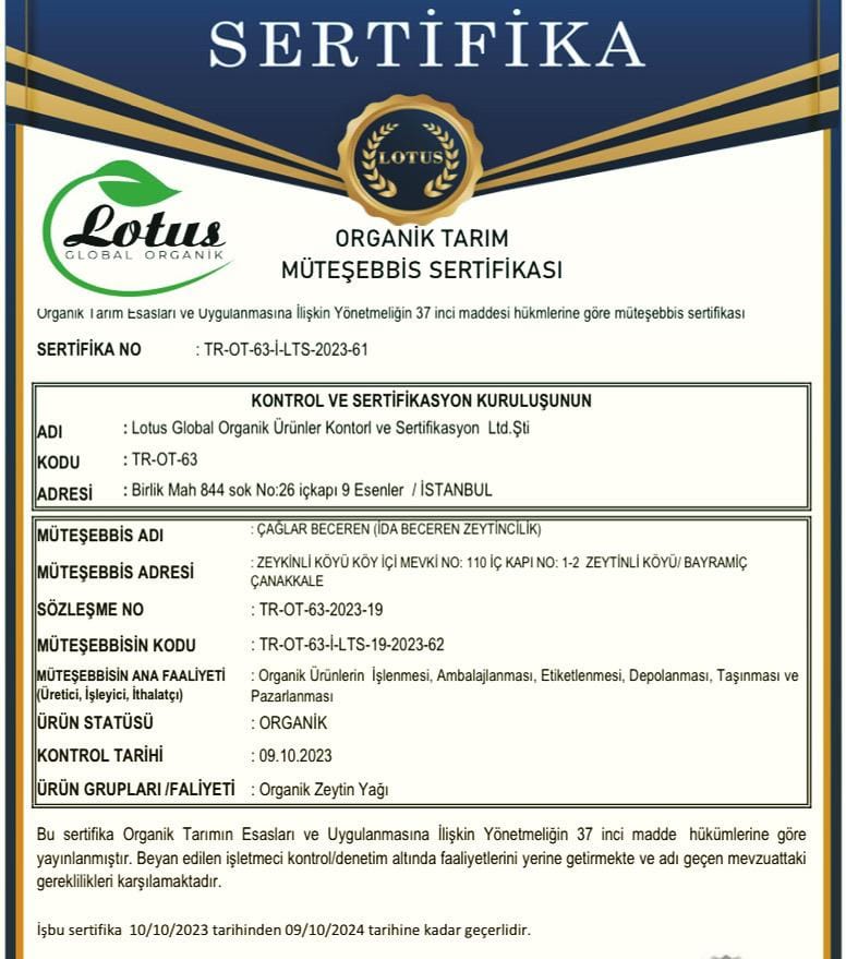 Sertifika 11