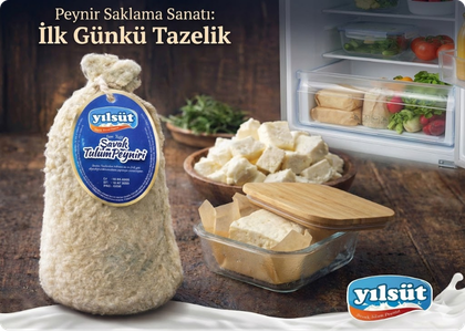Peynir Saklama Sanatı: Nasıl İlk Günkü Gibi Taze Kalır?