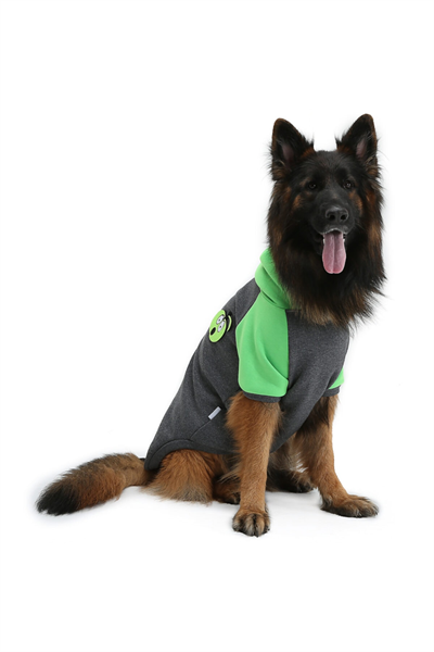 Büyük Irk Apple Köpek Sweati -köpek Kiyafeti