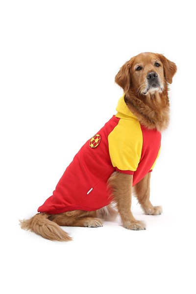 Büyük Irk Ball Red Taraftar Köpek Sweati-köpek Kiyafeti