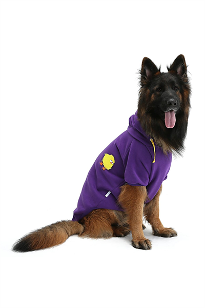 Büyük Irk Civciv Köpek Sweati-köpek Kiyafeti