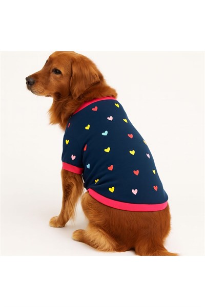 Büyük Irk Colorful Köpek Sweati Köpek Kıyafeti (11-45KG)