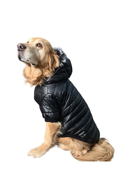 Büyük Irk Deri Anorak Puf Köpek Montu Köpek Yağmurluğu