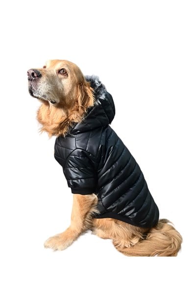 Büyük Irk Deri Anorak Puf Köpek Montu Köpek Yağmurluğu
