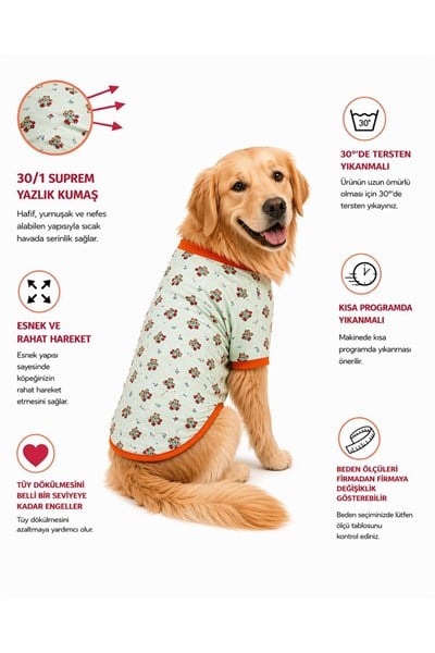 Büyük Irk Green Sweat Bear Yazlık Köpek T-Shirt Köpek Kıyafeti (11-45KG)
