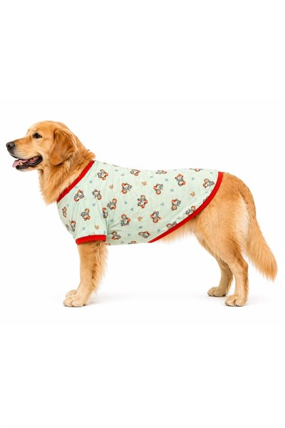 Büyük Irk Green Sweat Bear Yazlık Köpek T-Shirt Köpek Kıyafeti (11-45KG)